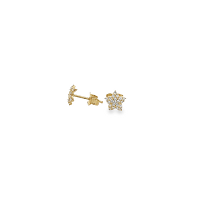 10 Karat Gold Cubic Zirconia Star Stud Earrings